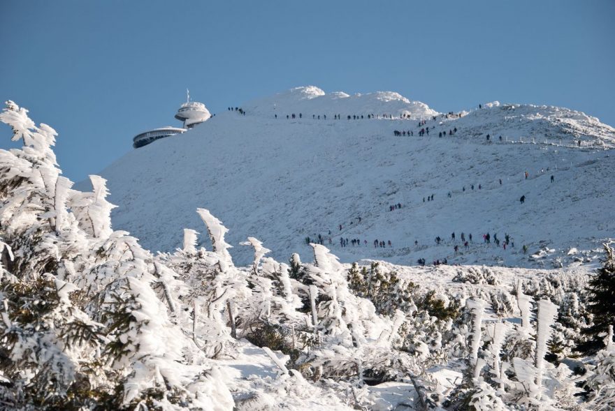 Mravenci stoupají na nejvyšší horu České republiky