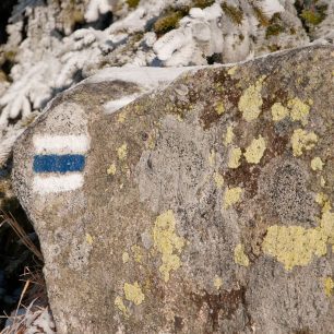 Krkonošské turistické značení