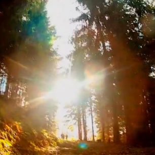 Cesta na Malou Prašivou