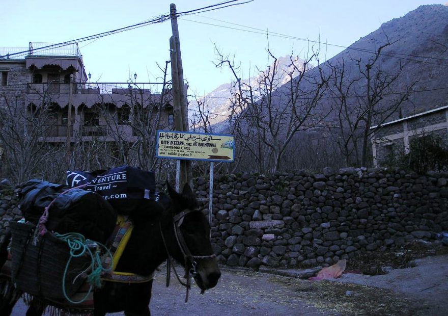 Osli jako nosiči...