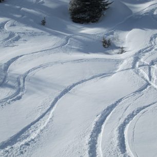 Freeride, Lenzerheide
