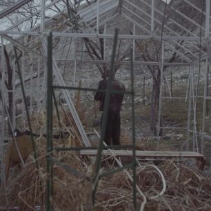 Život jednoho účastníka