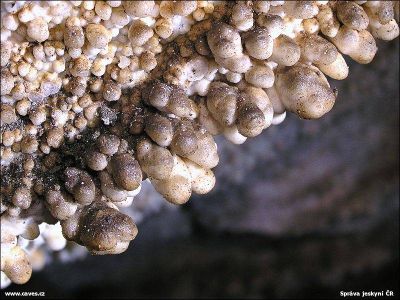 Chýnovská jeskyně