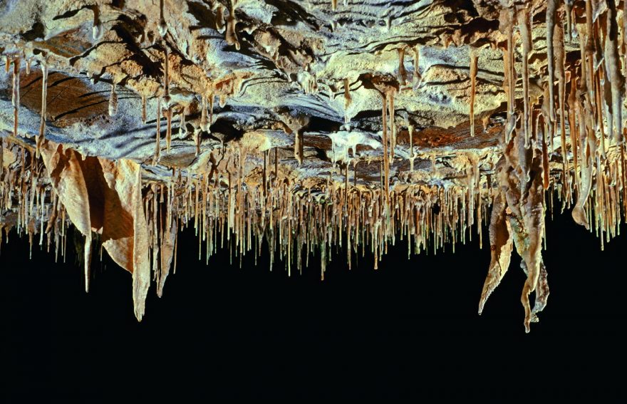 Javoříčské jeskyně se chlubí nejkrásnější krápníkovou výzdobou v Česku