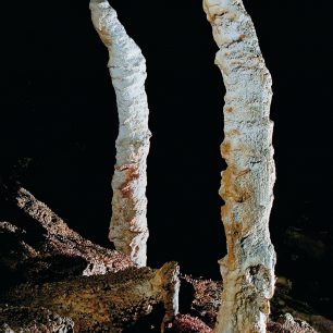 Zahnuté stalagmity v Suťovém dómu