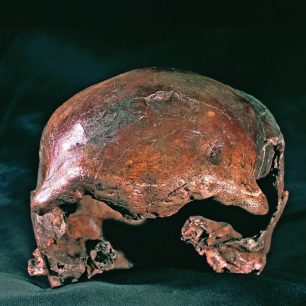 Archeologický nález, Mladečské jeskyně