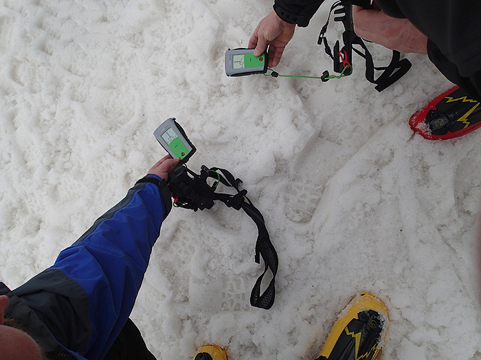 Lavinové vyhledávače