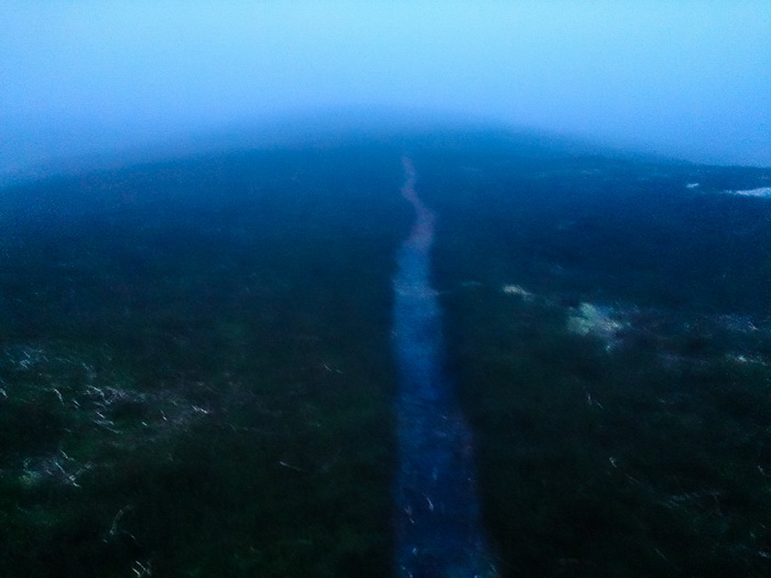 Napříč vřesovišti cesta vedla jen výjimečně. Tam, kde cesta nebyla, jsem se neustále propadal do ledové vody.