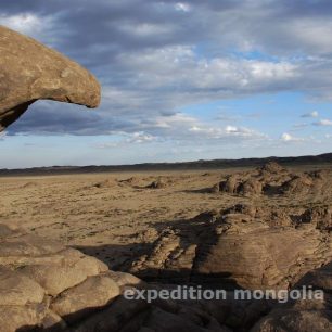 Pustina má mnoho podob