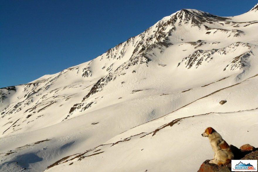 Pán hor, aneb tady vládnu já, jen kdyby tolik nedával najevo svou přítomnost v noci, kdy nám štěkáním do tmy dokazoval, že i ohlídat nás umí, šikula 