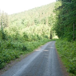 Pohodovou lesní cestou