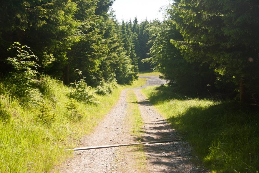 Nedaleko útulny Mates