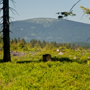 Kralický Sněžník ve své kráse!