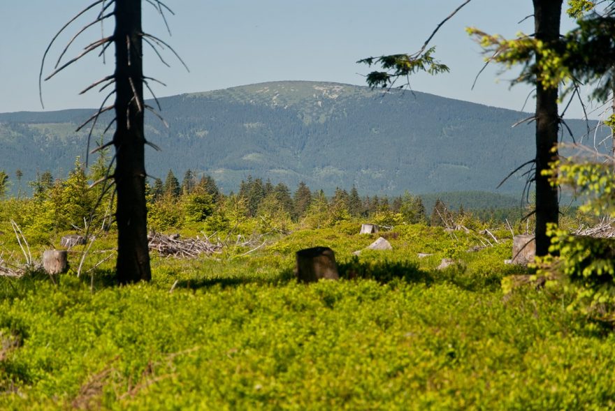 Kralický Sněžník ve své kráse!