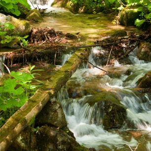 Rychlebská voda ...