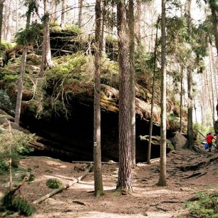 Přírodní rezervace Maštale