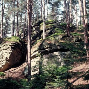 Ráz krajiny v přírodní rezervaci Maštale