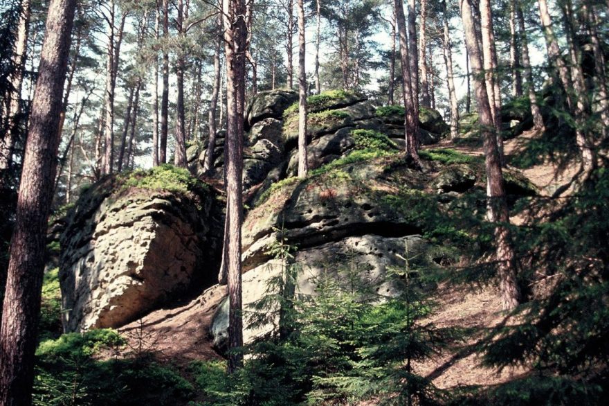 Ráz krajiny v přírodní rezervaci Maštale