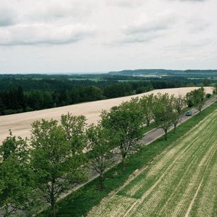 Výhled z Toulovcovy rozhledny k Novým Hradům