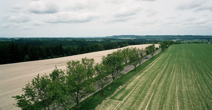 Výhled z Toulovcovy rozhledny k Novým Hradům