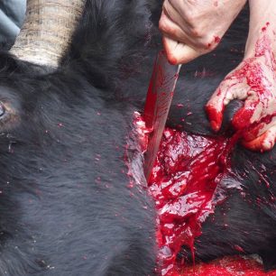 Pohoštění při návštěvě Radka Jaroše v BC pod K2