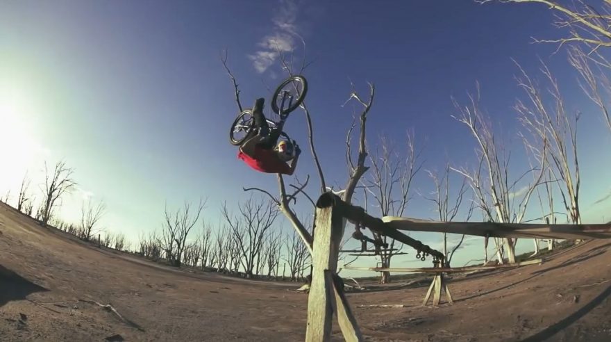 Bikerský parakotoul?