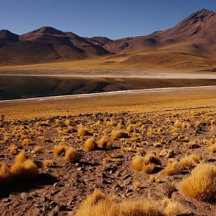Laguna Miscanti, Chile, foto: Kateřina Krejčová