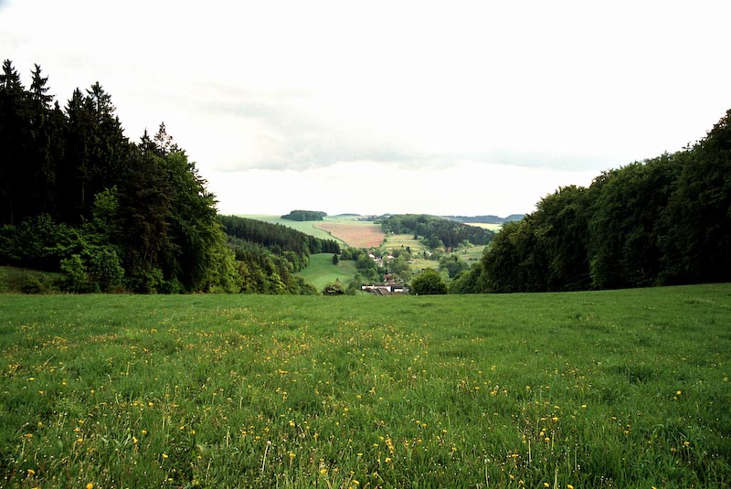 Vojtěchov z louky od Březiny