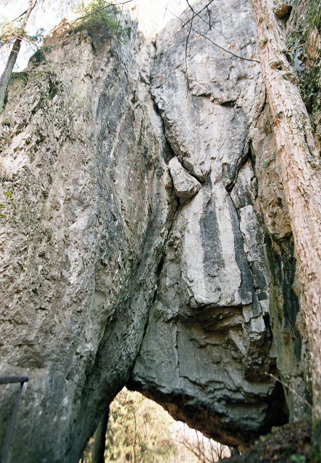 Zkamenělý zámek-brána
