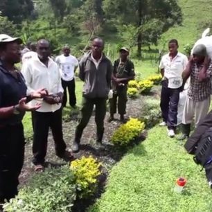 Trošku jiní nosiči