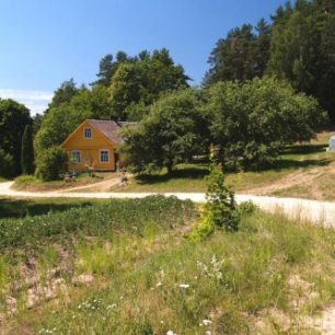 Cesta kolem samoty za osadou Puziniškis