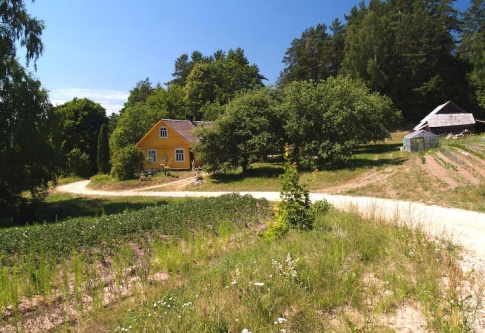 Cesta kolem samoty za osadou Puziniškis