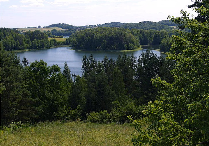 Výhled z vrcholu Ladakalnis