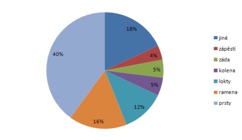 Procentuální vyjádření nepádových zranění, zdroj: amuerte.cz, vlastní zpracování