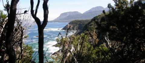 Trek South Coast: putování po druhém nejoblíbenějším treku Tasmánie
