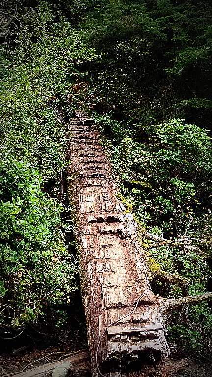 Tady se běžet nedá