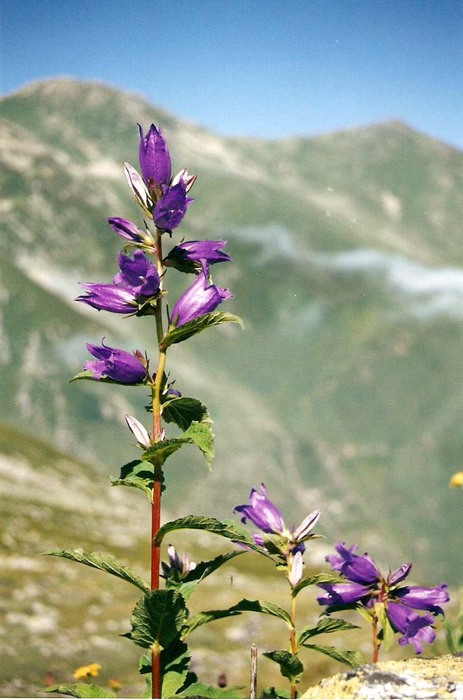 Přechod přes Altinparmak