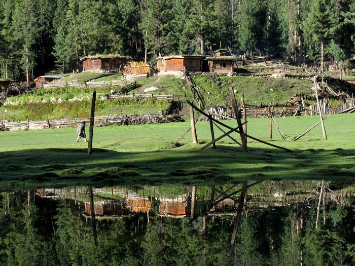 Trek pod Raikhotskou stěnu Nanga Parbatu (Pohádková louka) 1