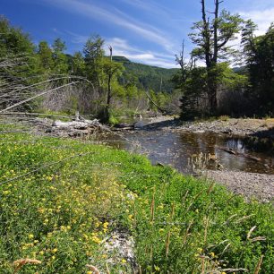 Trek z Termas dehuen do La Unión 1