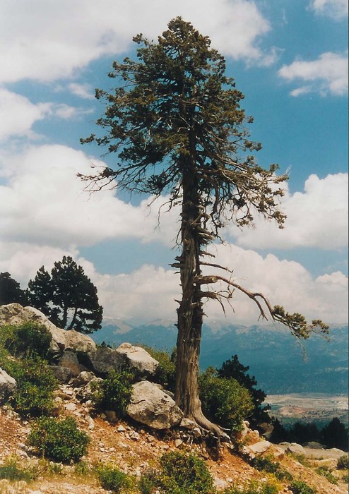 Výstup na Kizlar Sivrisi