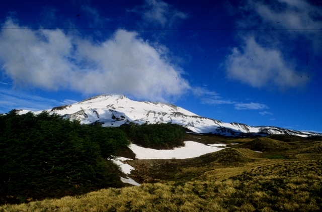 Trek Národním parkem Villarica