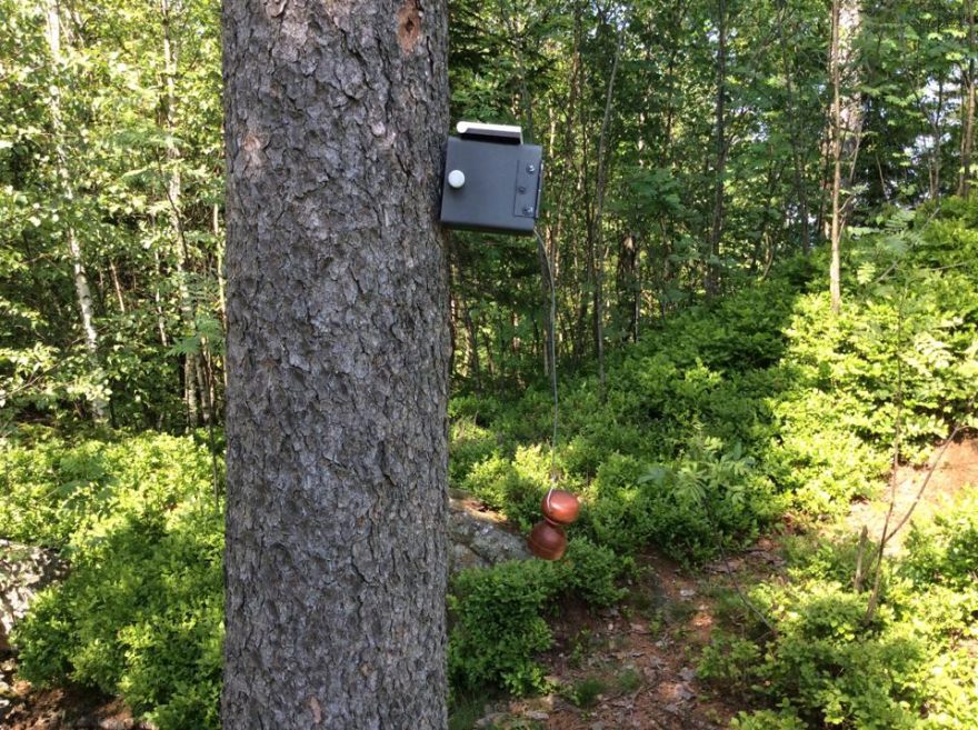 Umístění razítka na vrcholu Smrk v Beskydech