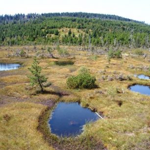 Rašeliniště Na Čihadle