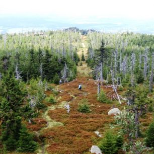 Výhled z Holubníku na Ptačí kupy