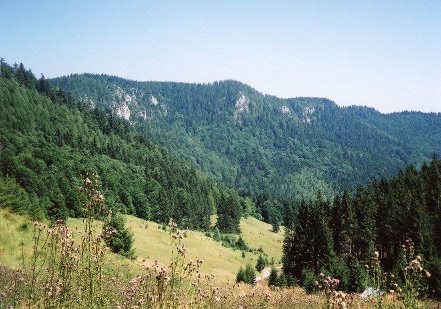 Pohled na Velkou Stožku od Randavice (kopec vlevo v popředí je Malá Stožka)