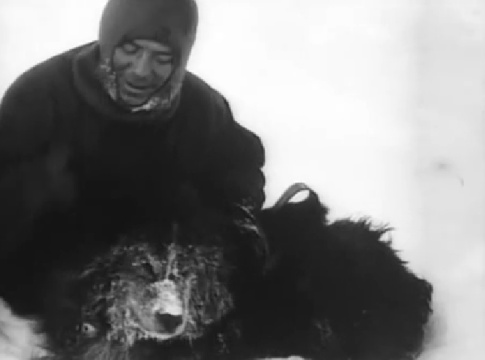 Vezli s sebou 69 psů