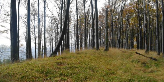 Přechod hřebene &#8211; Palkovické hůrky v podhůří Moravskoslezských Beskyd