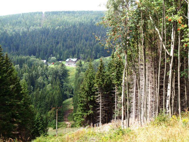 Cesta bratří Čapků - nad  Lysečinskou boudou
