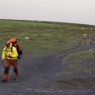 Sopečná činnost je patrná ve všudypřítomném lávovém popelu, Skógar, Island.