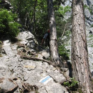 Pěkně do kopečka, ferrata Sunnighornsteig
